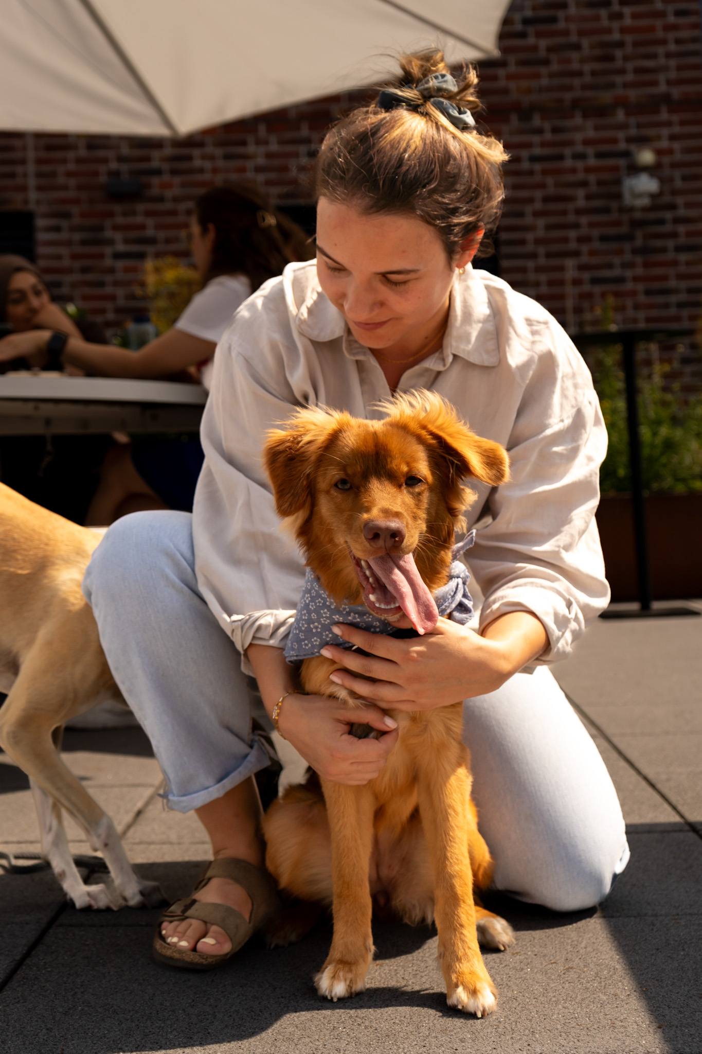 Frau mit Hund – Mensch-Hund-Shooting Holzkirchen